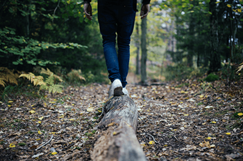 Access to lamberton lake fen nature preserve & hiking/walking trails